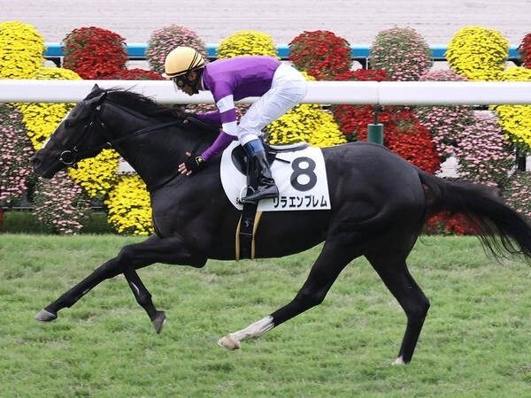 昨年10月27日に新馬戦を勝ったリラエンブレム　photo by Sankei Visual