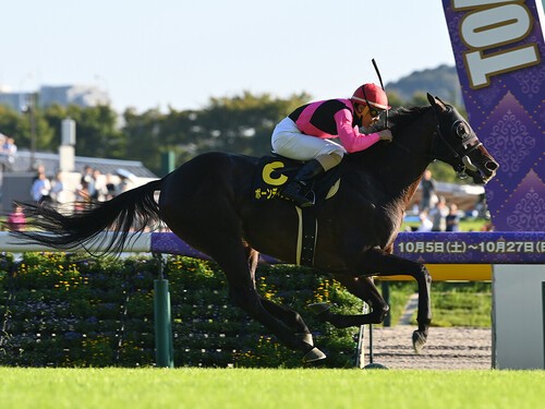 AJCCでの大駆けが期待されるボーンディスウェイ　photo by Sankei Visual