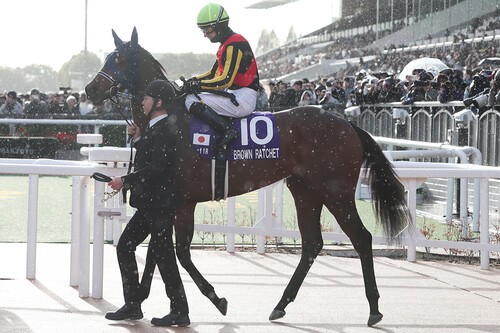 JRA 競馬 馬写真（額入り） 満花