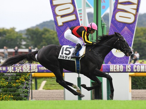 京成杯での大駆けが期待されるガルダイア　photo by Sankei Visual