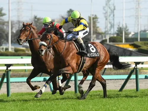 日経新春杯での一発が期待されるキングズパレス　photo by Sankei Visual