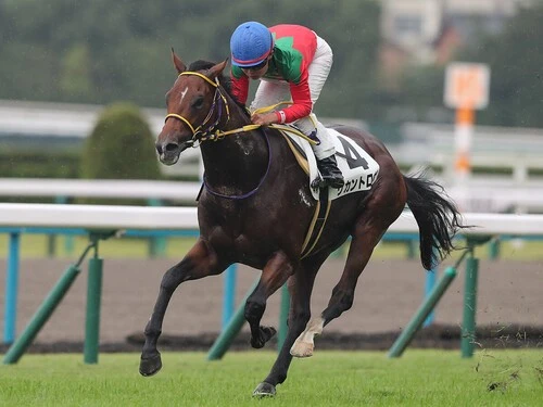 シンザン記念での一発が期待されるリカントロポ　photo by Eiichi Yamane/AFLO