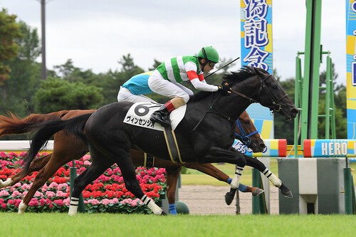 卓越した勝負根性が高く評価されているヴィンセンシオ　photo by Sankei Visual