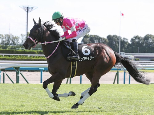 １勝クラスの紫菊賞を勝って、阪神JFでも２着と奮闘したビップデイジー　photo by Eiichi Yamane/AFLO