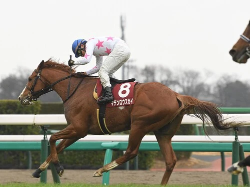 中山雲水の馬でメシが喰える馬券術 馬メシ馬券王 93年最新版: 馬でメシが食える驚異の競馬周期法