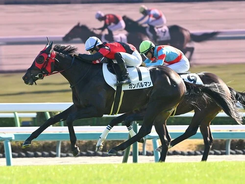 弥生賞での大駆けが期待されるガンバルマン　photo by Sankei Visual
