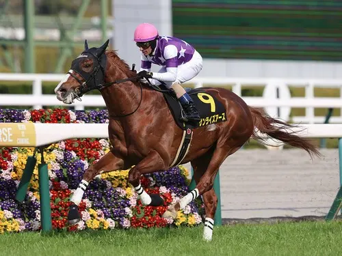 阪神大賞典での一発が期待されるサンライズアース　photo by Eiichi Yamane/AFLO