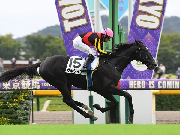 昨年10月、東京競馬場でのデビュー戦を制したガルダイア　photo by Sankei Visual