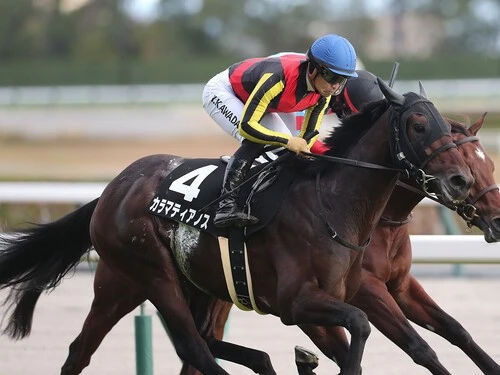 皐月賞での大駆けが期待されるカラマティアノス　photo by Eiichi Yamane/AFLO
