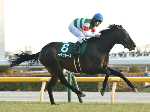 天皇賞・春で１番人気が予想されるヘデントール　photo by Sankei Visual