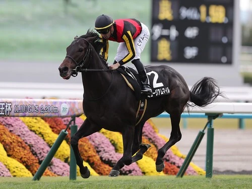 皐月賞での一発が期待されるミュージアムマイル　photo by Eiichi Yamane/AFLO