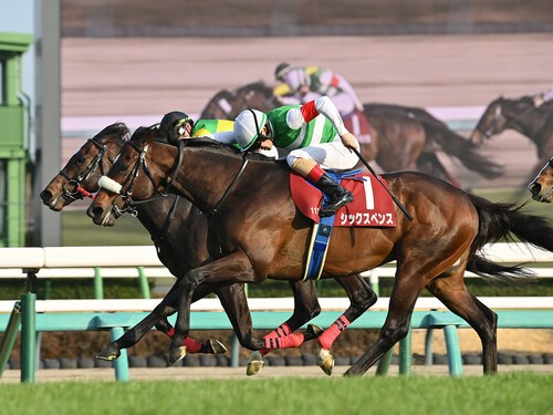 前走の中山記念でも強い競馬を見せたシックスペンス　photo by Sankei Visual