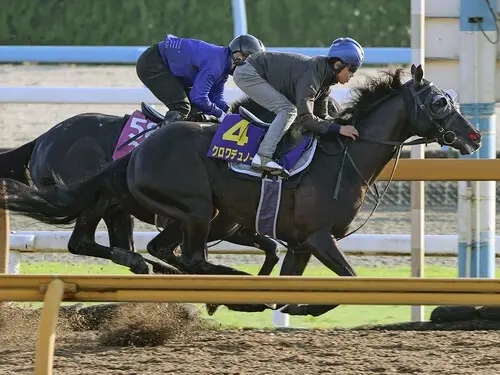 ダービーに向けて一段と状態を上げているクロワデュノール　photo by Kyodo News