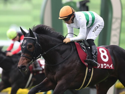 京都新聞杯を快勝してダービーに挑むショウヘイ　photo by Eiichi Yamane/AFLO