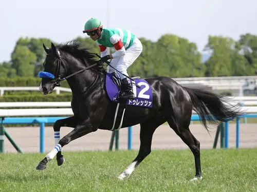宝塚記念での勝ち負けが期待されるドゥレッツァ　photo by Eiichi Yamane/AFLO