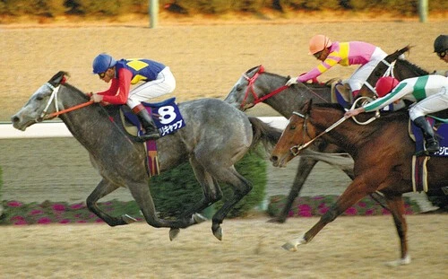 引退レースの有馬記念で奇跡の復活劇を見せたオグリキャップ　photo by Kyodo News