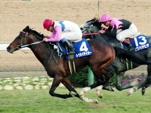 トウカイテイオー 有馬記念 的中馬券