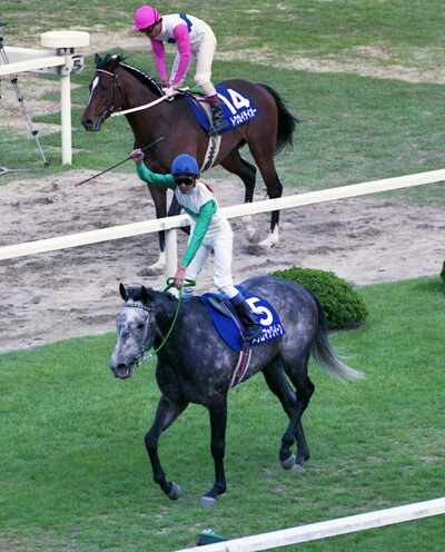 トウカイテイオー（上）を下して天皇賞・春の連覇を遂げたメジロマックイーン（下）　photo by Kyodo News