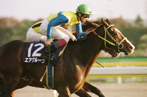 エアグルーヴ 　2L　 当時物　レア　競走馬　今は亡き名馬　ウマ娘 ウマ娘』でも「女帝」と呼ばれるエアグルーヴ 牝馬時代の扉を