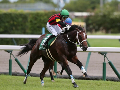 CBC賞での一発が期待されるエイシンワンド　photo by Eiichi Yamane/AFLO