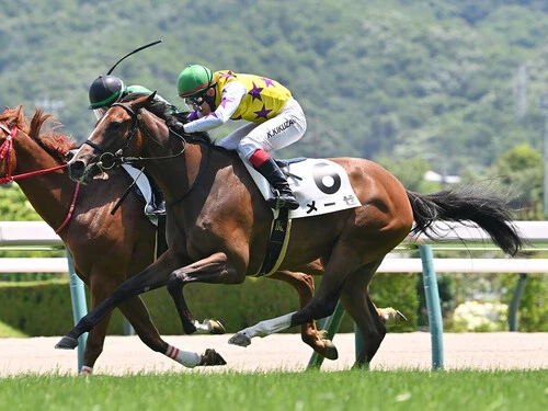 新潟２歳Ｓでの大駆けが見込まれるメーゼ　photo by Sankei Visual