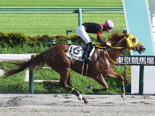レパードＳでの大駆けが期待されるルグランヴァン　photo by Sankei Visual