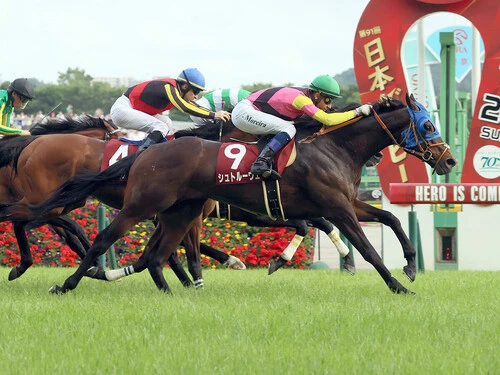 札幌記念での一発が期待されるシュトルーヴェ　photo by Sankei Visual