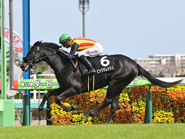 重賞に初挑戦するピックデムッシュ　photo by Sankei Visual