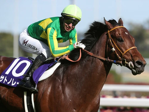 スプリントＧＩの春秋連覇を狙うサトノレーヴ　photo by Eiichi Yamane/AFLO