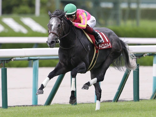 一昨年のセントウルＳを制しているテイエムスパーダ　photo by Eiichi Yamane/AFLO