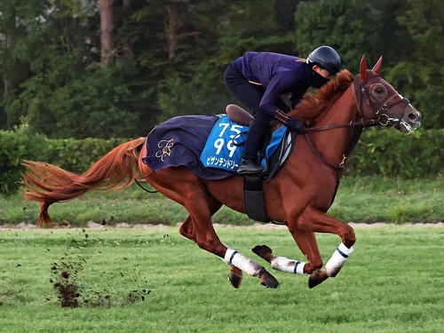 凱旋門賞】ついに悲願達成なるか 前哨戦からの上積みもある日本調教馬