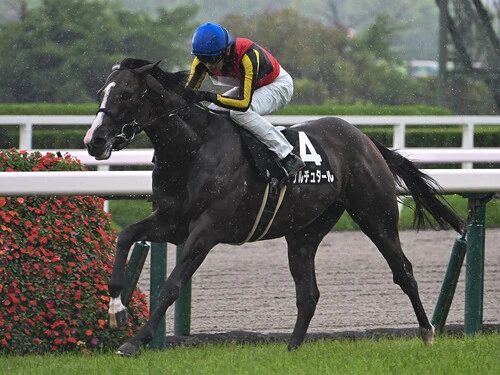 菊花賞の伏兵候補として競馬サークル内で注目を集めているゲルチュタール　photo by Eiichi Yamane/AFLO