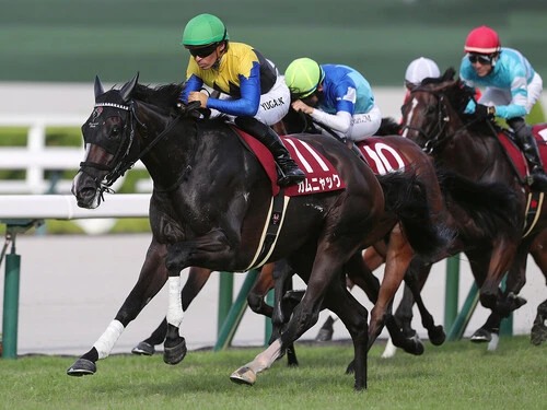 前哨戦のローズＳで圧倒的な強さを見せたカムニャック　photo by Eiichi Yamane/AFLO