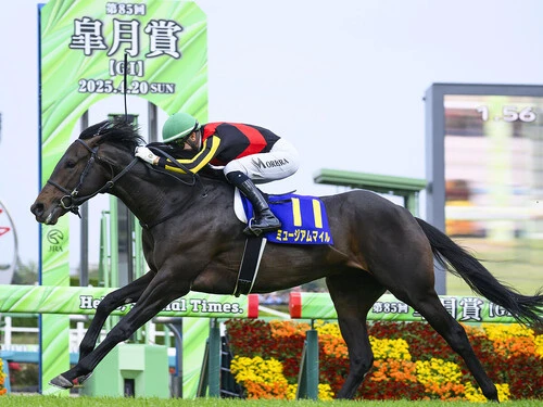 天皇賞・秋に挑む皐月賞馬のミュージアムマイル　photo by Kyodo News