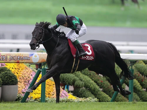 ジャパンカップでの一発が期待されるディープモンスターphoto by Eiichi Yamane/AFLO