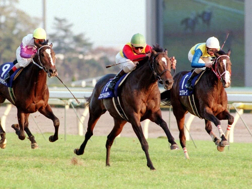 豪華メンバーが集ったジャパンカップを制したエルコンドルパサー（中央）photo by Sankei Visual