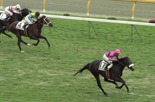 日本ダービーを圧勝したナリタブライアンphoto by Kyodo News