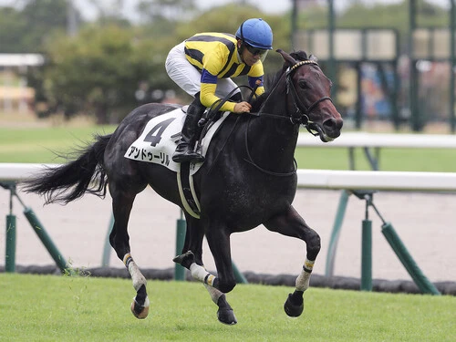 ホープフルＳに出走予定のアンドゥーリル　photo by Eiichi Yamane/AFLO