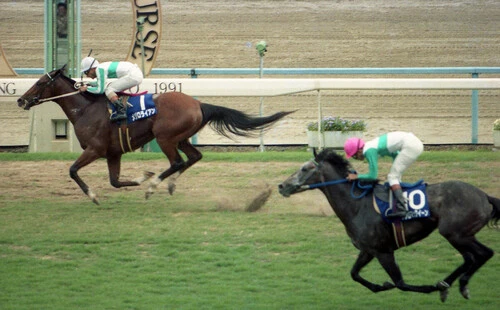 1991年の宝塚記念で悲願のＧＩ制覇を決めたメジロライアン（白帽）　photo by Sankei Visual