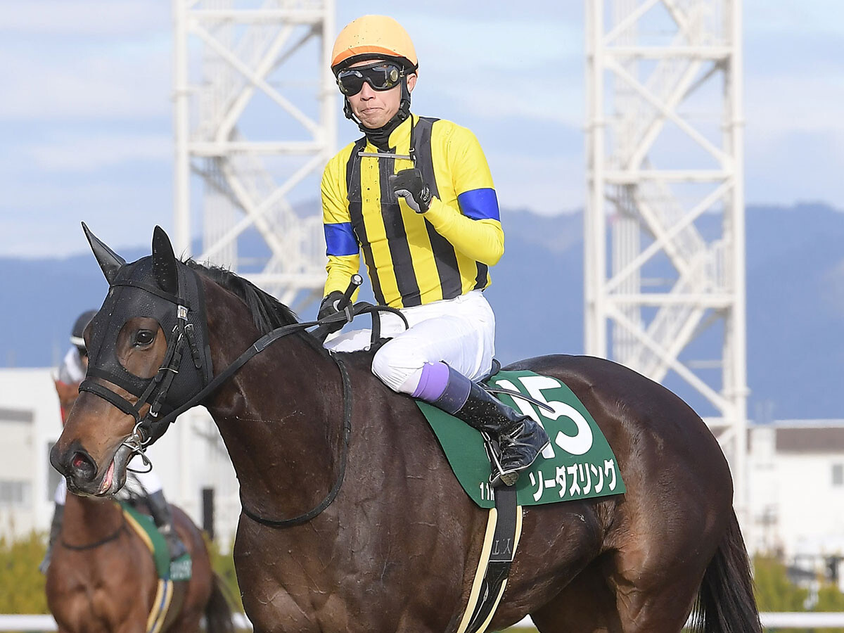 【競馬予想】ヴィクトリアマイルで狙うべき「マイルＧⅠに強い血統」は？　コース適正も踏まえ２頭に期待