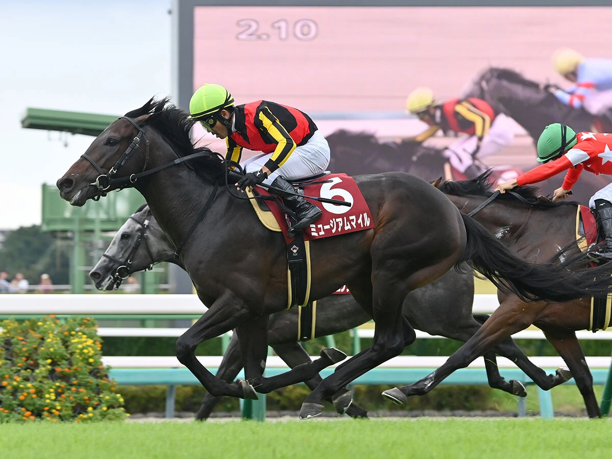 【競馬予想】天皇賞・秋で注目は「今年勝利が多い」血統　牝系が魅力の６歳馬も本格化の気配