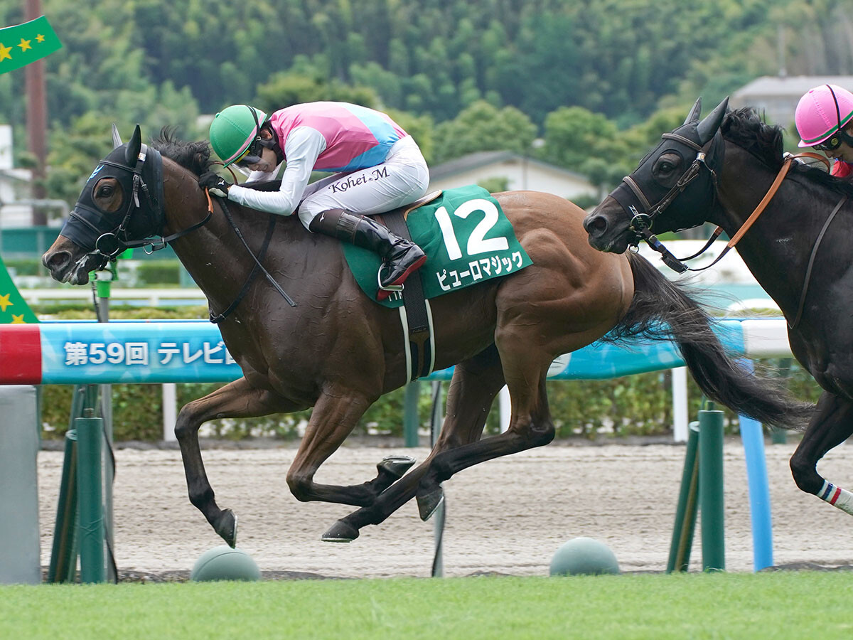 【競馬予想】万馬券が続出のアイビスSDで注目すべき血統は？　芝1000ｍを駆け抜けそうな２頭をチェック