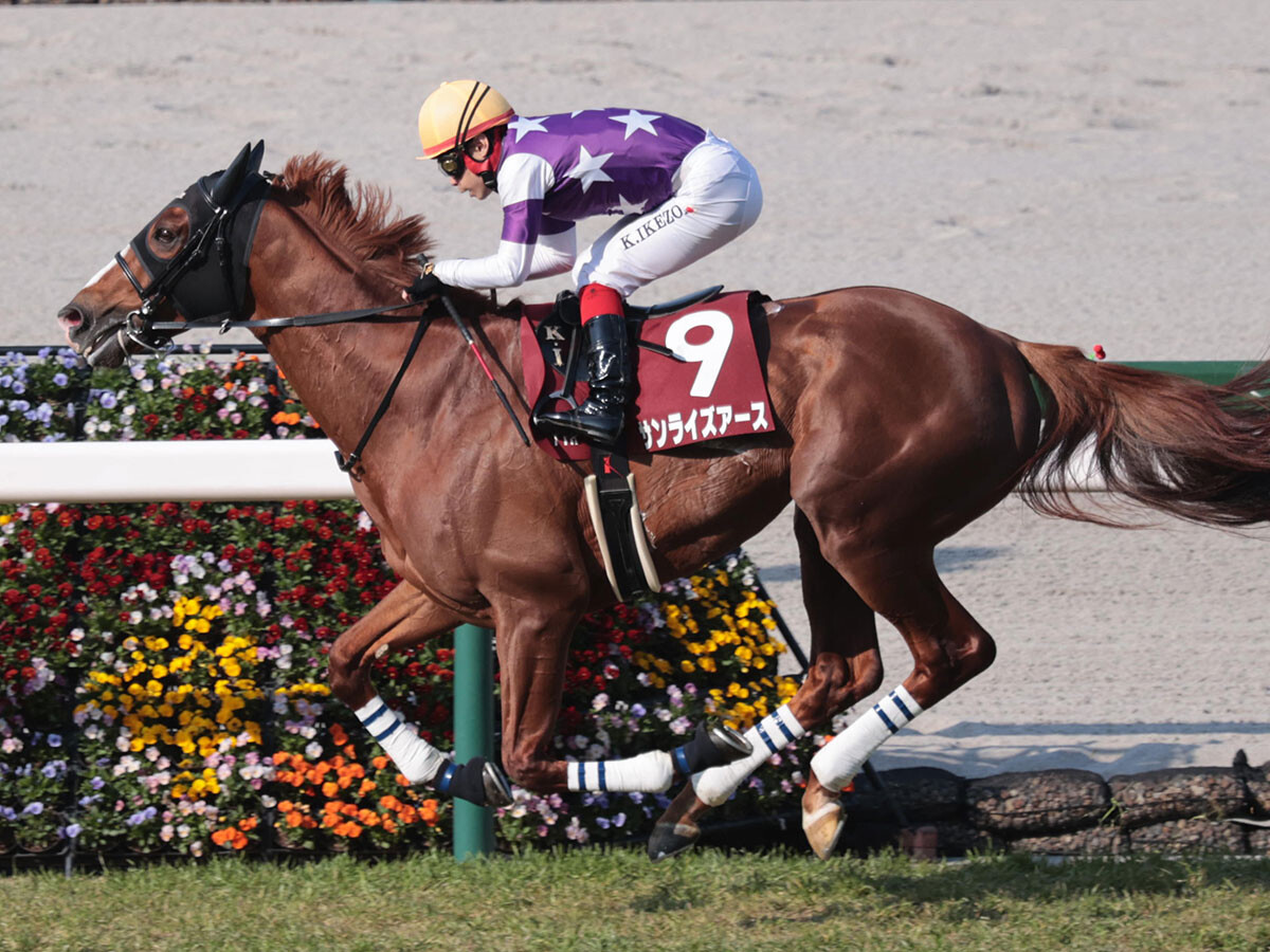 【競馬予想】ジャパンＣで注目すべき血統は？　世界１位の欧州代表馬に対抗できそうな２頭をピックアップ