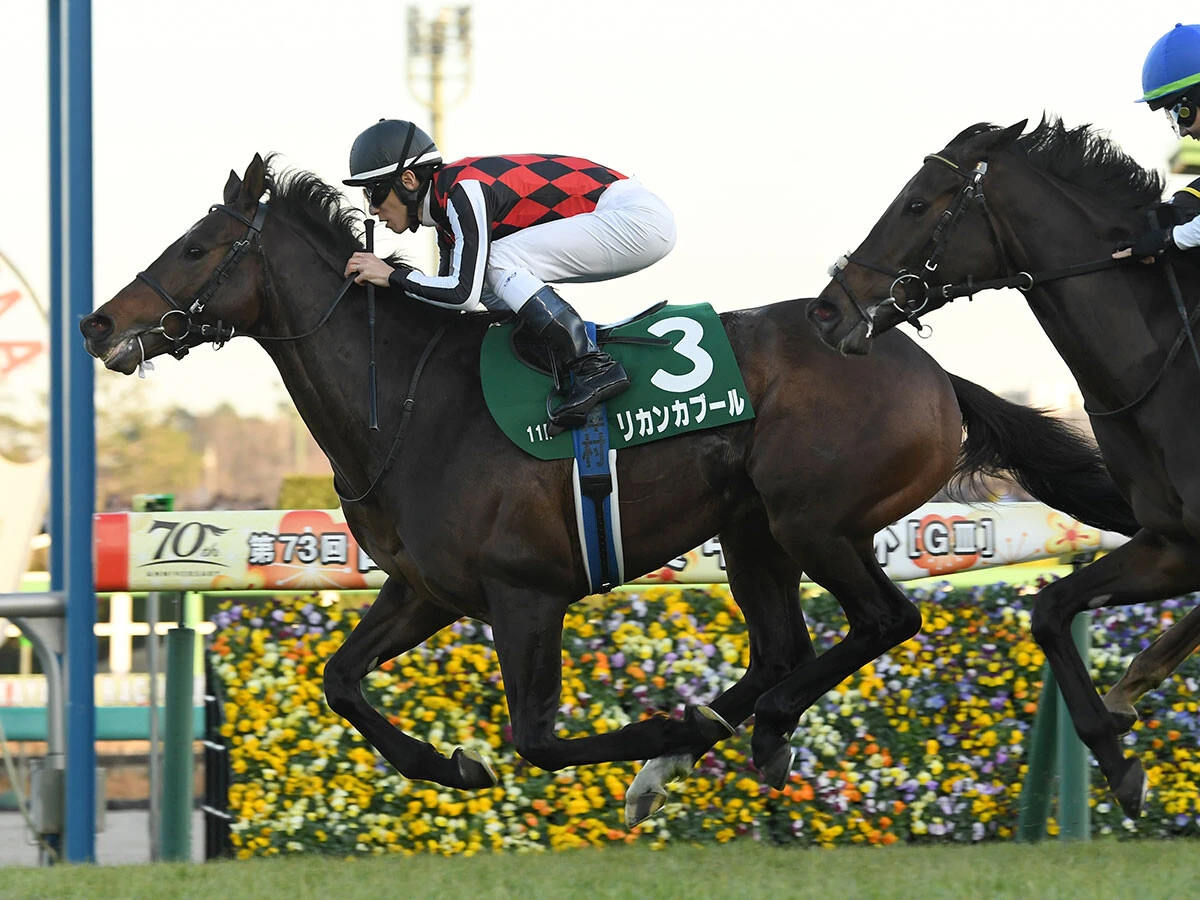 【競馬予想】「穴狙い」の小倉記念で注目すべき血統は？　種牡馬の勝率、牝系の勢いから２頭をピックアップ