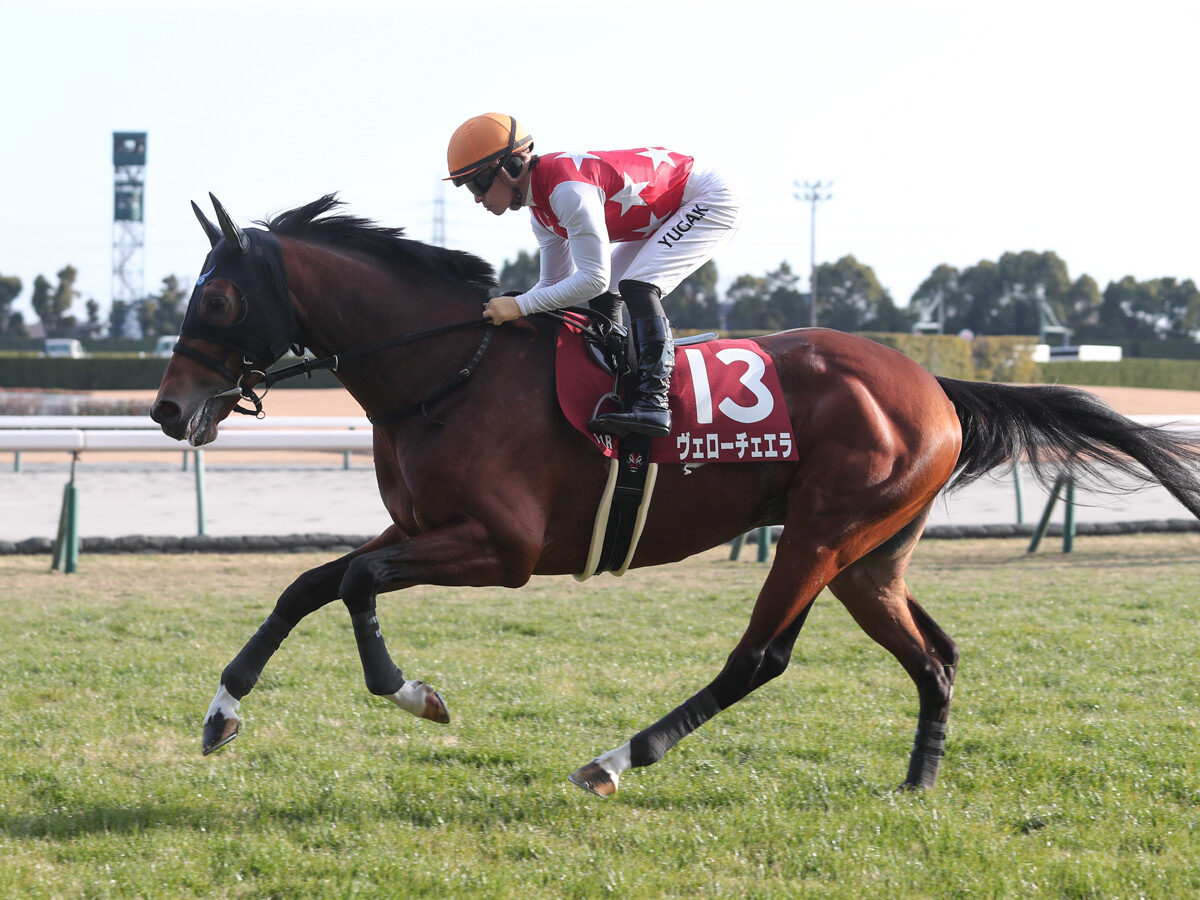 【競馬予想】天皇賞・春の前哨戦、阪神大賞典で注目の血統は？　長距離での成績から２頭をピックアップ