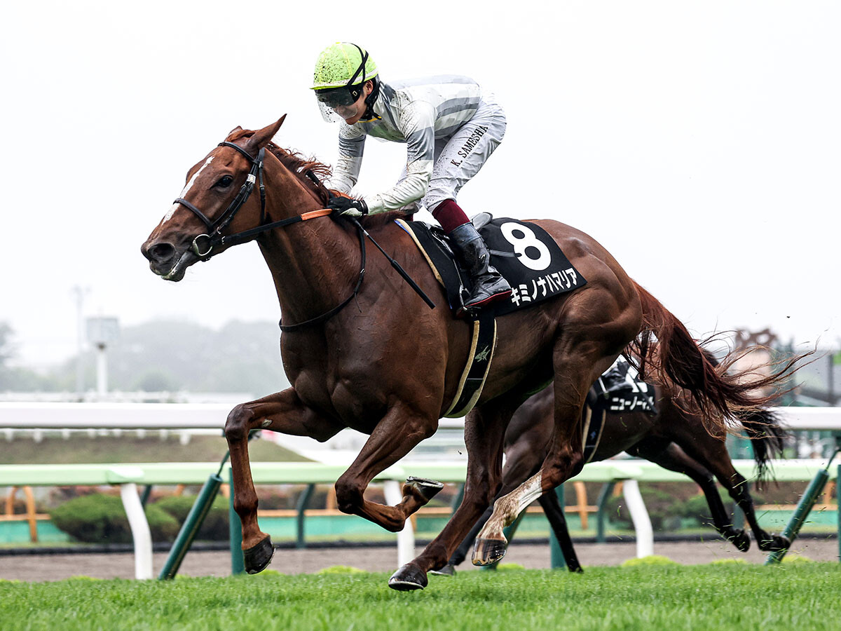 【競馬予想】函館記念は10年連続で万馬券　今年「穴」をあけそうな狙い目の２頭は？