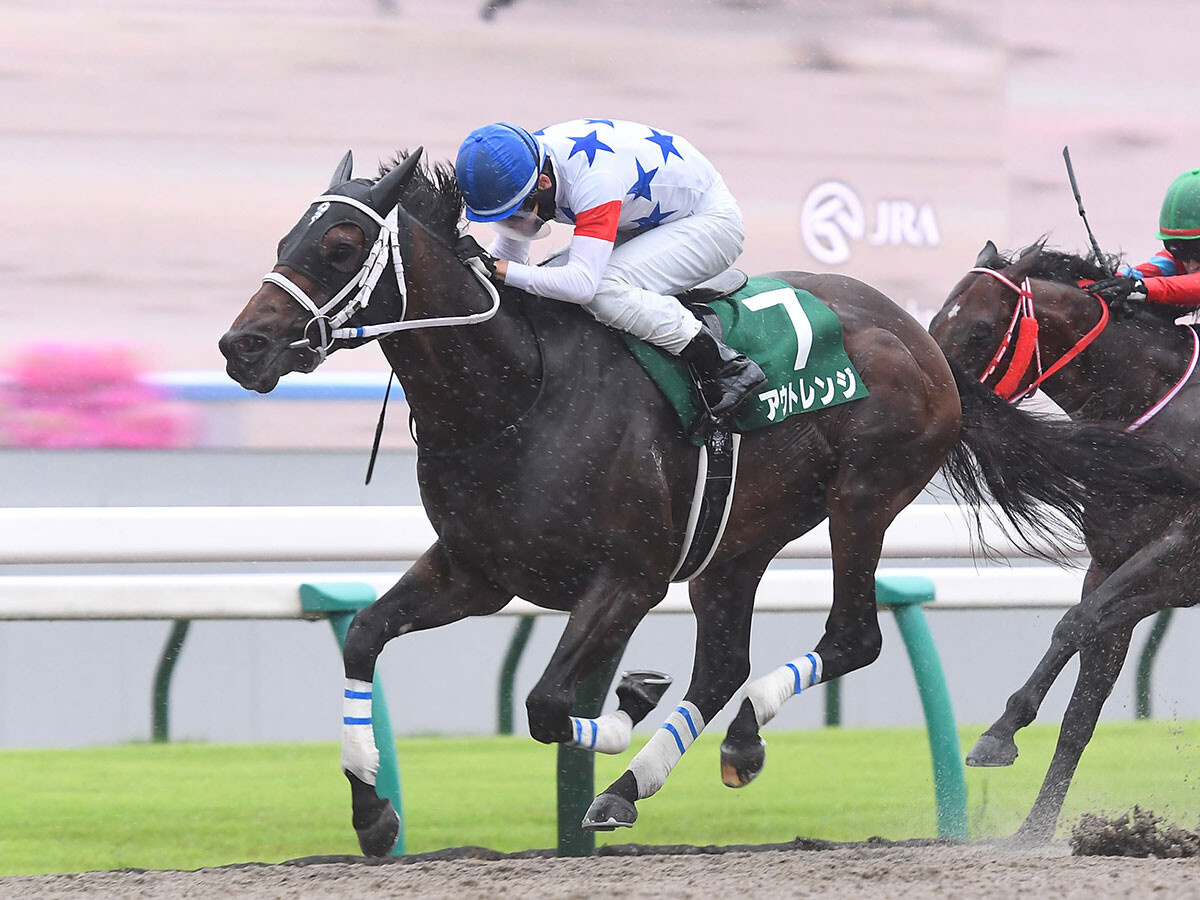 【競馬予想】混戦模様のチャンピオンズＣで注目すべき、キングマンボとキズナの血　クロスも含めて徹底チェック