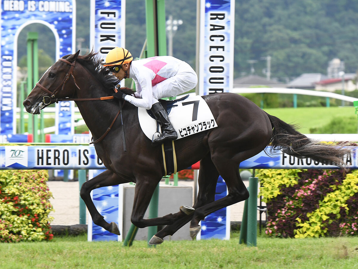 【競馬予想】皐月賞トライアル、スプリングＳは「レースと縁がある血」を持つ２頭が推し