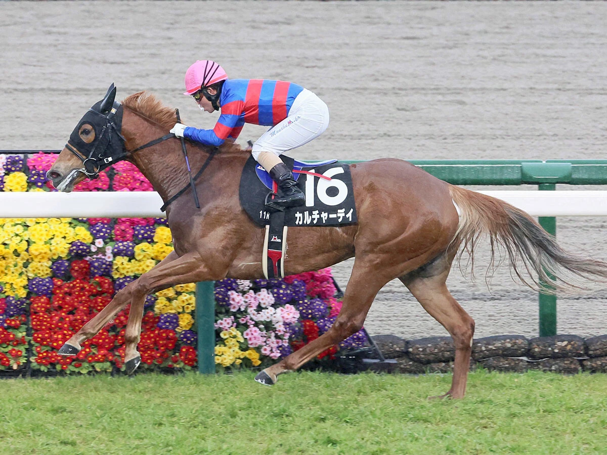 ファインニードル産駒のカルチャーデイ　photo by Sankei Visual