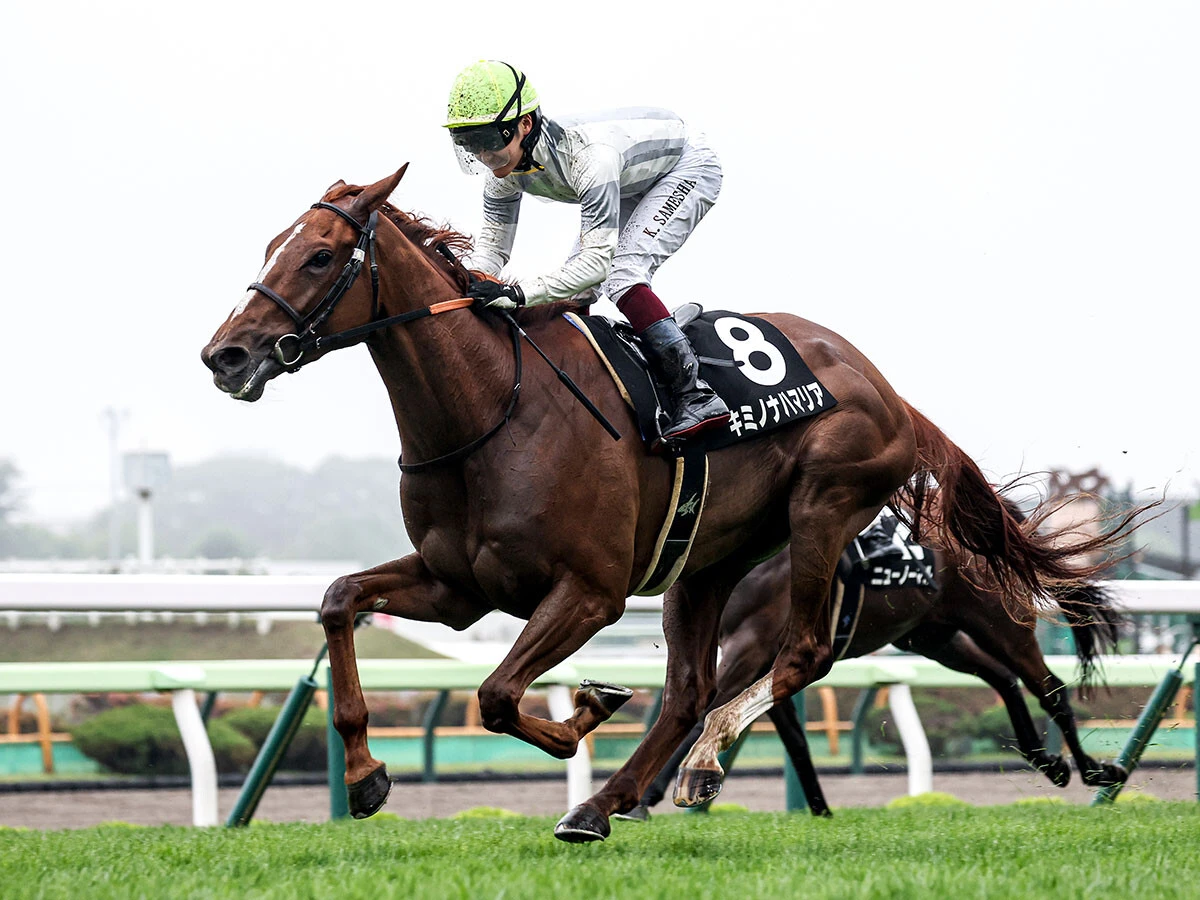 昨年の五稜郭Ｓを制したキミノナハマリア　photo by Sankei Visual